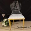Throne chair wedding event acrylic backrest led light