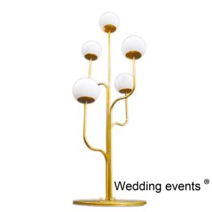 wedding lights rent