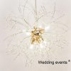 Wedding lights decor lighting crystal ball chandelier
