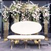 Wedding throne chairs stainless steel party events
