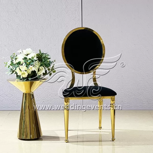 Luxury Shower Chair