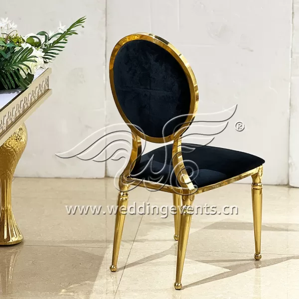 Luxury Shower Chair