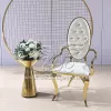 Bride and Groom Wedding Chair Rentals Armchairs