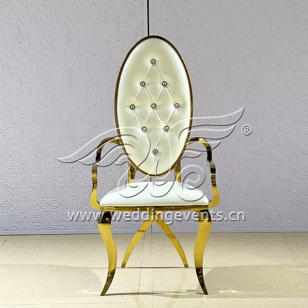 Bride and groom wedding chair rentals