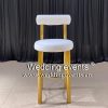 Counter Height Bar Stools Gold Frame with Velvet Cushion