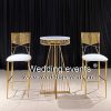 Counter Chairs with Backs Stainless Steel Metal Frame