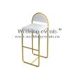 Bar Stool Height Stainless Steel Gold Finish Frame