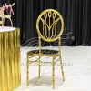 Dining Chair Metal Stainless Steel Frame Stackable Design