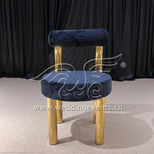 Modern Banquet Chairs