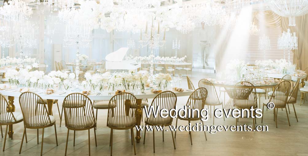 Party Chairs For Sale Wholesale