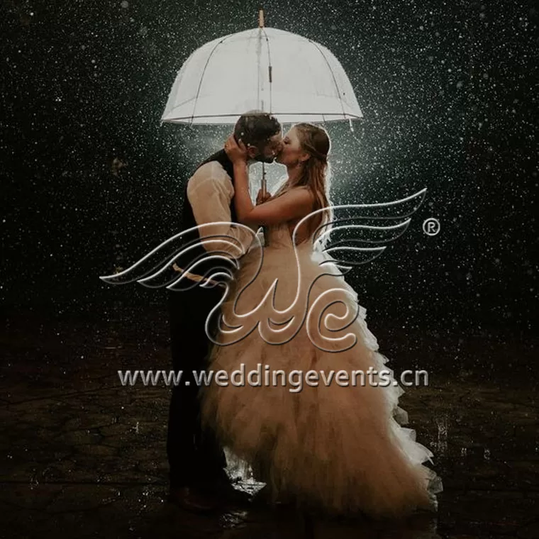 Is Rain on Your Wedding Day Good Luck
