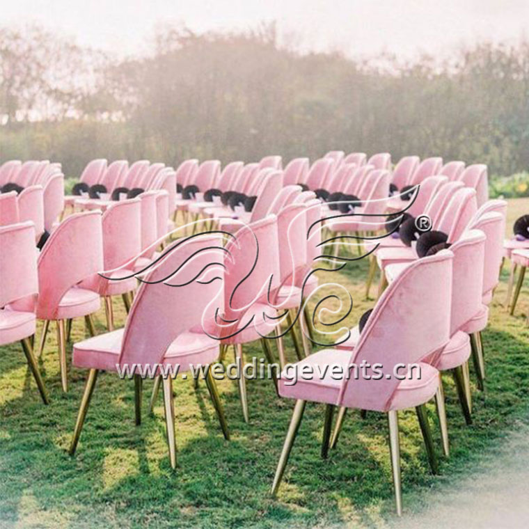 Pink Velvet Chairs