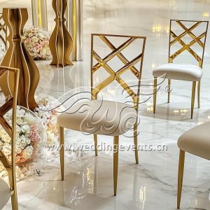 Stainless Steel Event Chair