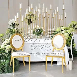 Circle Back Dining Chair