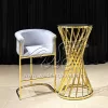 Counter Bar Stool with Gold Metal Chrome Frame
