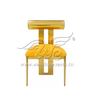 Stainless Steel Banquet Chair