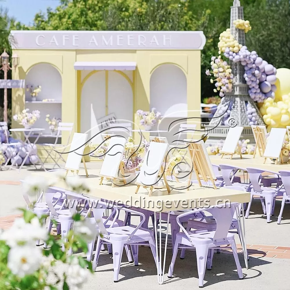 French Themed Baby Shower
